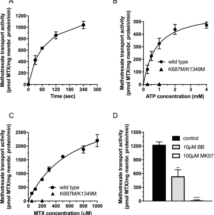 Fig 2. Methotrexate transport activity of DMRPs in Sf9 inside-out vesicles. A: Time course of MTX transport measured in the presence of 4mM Mg 2+ ATP at 37 ˚C using 50 μg total Sf9 membrane protein overexpressing wild type DMRP at 100μM MTX concentration