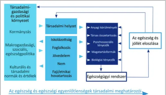 3. ábra. Az egészség és egészségi egyenlőtlenségek társadalmi meghatározó tényezői  az Egészségügyi Világszervezet szerint (WHO, 2008, 43