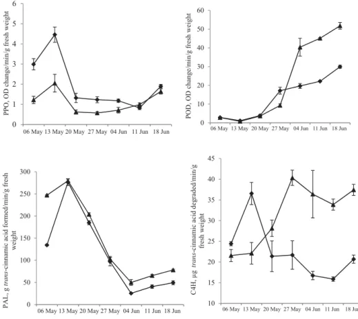 Fig. 2. Polyphenol oxidase, peroxidase, phenylalanine ammonia lyase, and cinnamate-4-hydroxylase activities in  pericarp tissue of litchi cultivar at different developmental stages