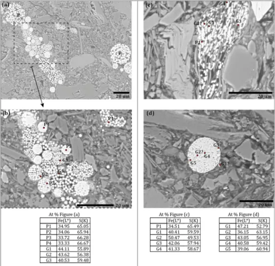 Figure 6. Representative SEM BSE (back scattered electron) images of Lake Pannon samples and corresponding EDS spec- spec-tra