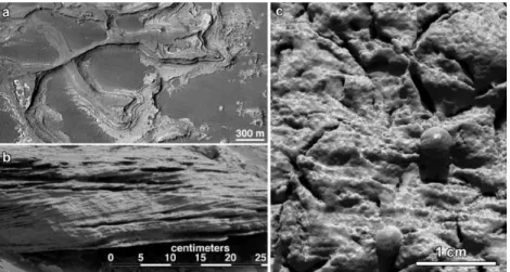 Figure 1. Example features for paleo-environment reconstruction on Mars: a) Inverted  fluvial delta-like sedimentary structure in Eberswalde crater with outcroped layers  poiting to an ancient river that entered into standing water body (Mars Global Survey