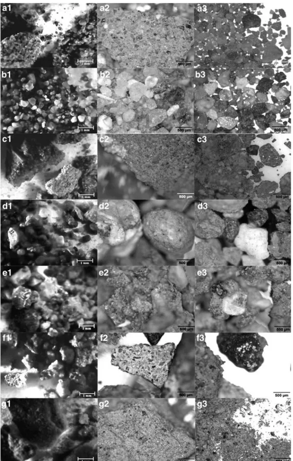 FIG. 7. Samples from 1, 4, 10, 30, and 40 cm depth (from the top row to the bottom, respectively)