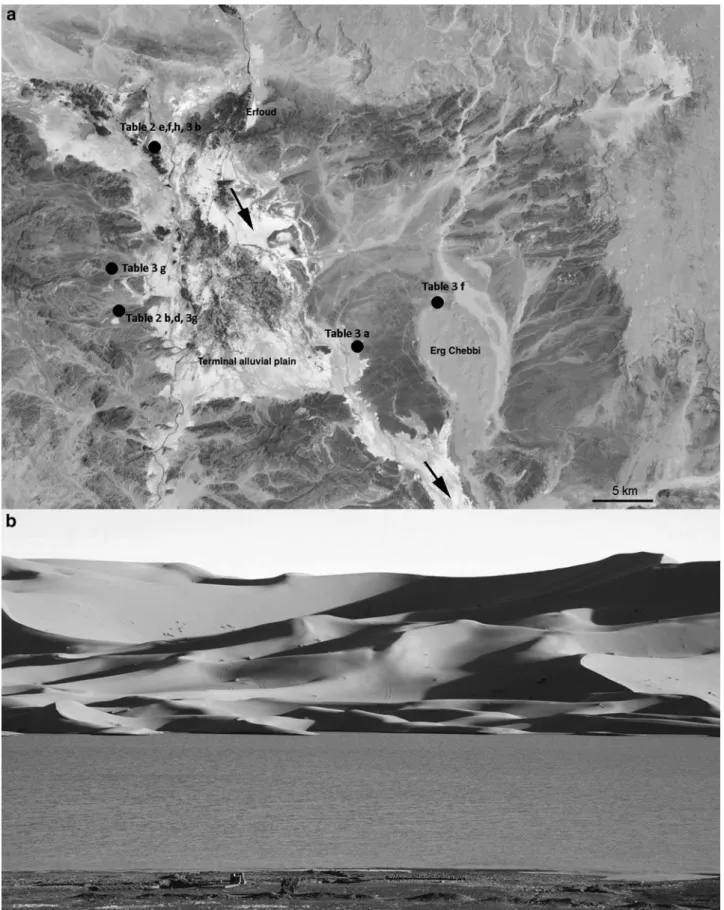 FIG. 8. The depositional areas of Oued Ziz (flow direction according to arrows) marked by the bright terrains in the middle (a)