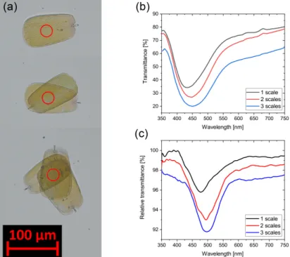 Figure 7. (a) Micrograph of stacked dorsal Albulina metallica scales in transmitted light; transmittance  was measured in the center of the red circles; (b) transmittance spectra measured at the overlapping Figure 6.Average of vapor sensing signals (in ref