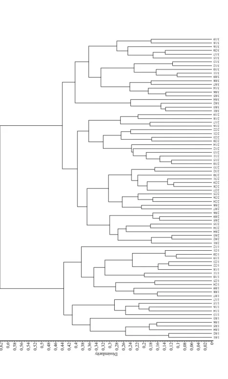 11. ábra. A Mohácsi-sziget három erdőtársulásának bináris dendrogramja II., (hasonlósági index: Baroni-Urbani–Buser
