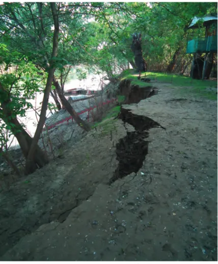 4. kép A partszakasszal párhuzamos, a növények gyökerei mentén előrejelzett repedések (Fotó: k is  m olnár  I.) Picture 4 Cracks parallel with the bank preformed by tree roots (Photo by k is  m olnár , I.)