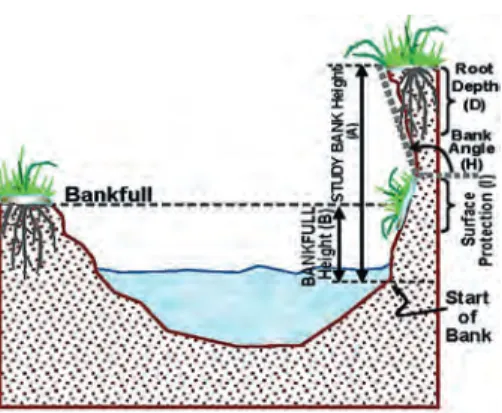 3. ábra A BEHI parteróziós index paraméterei (R osGen ,  D.L. 2008). A, a partfal magassága; B, vízmélység a parton  mederkitöltő vízhozamkor; C, a gyökérzet sűrűsége;  