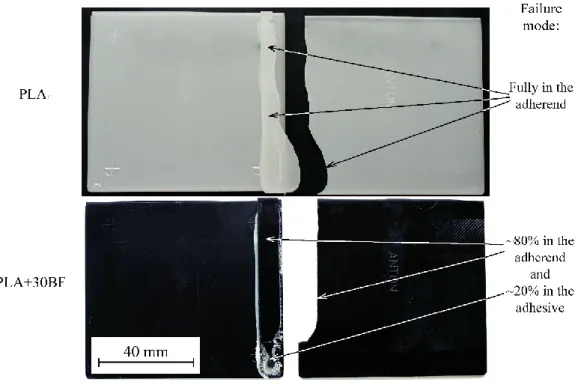 Figure 3. Tensile tested thin sheets of pure PLA and PLA+30BF joined together with  acrylate-based adhesives 