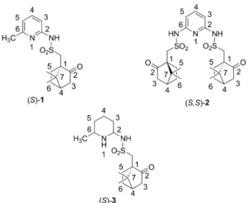 Fig. 2 Synthesized new camphorsulfonamide derivatives