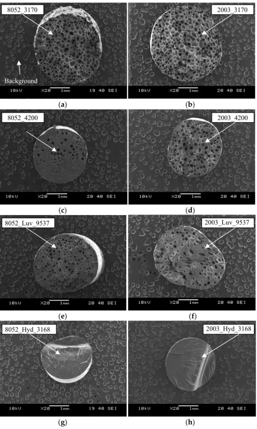 Figure 8. Scanning electron microscopy (SEM) images of samples foamed with different foaming  agents (manufactured at 190 °C) (a) 8052_3170, (b) a 2003_3170, (c) 8052_4200, (d) 2003_4200, (e)  8052_Luv_9537, (f) a 2003_Luv_9537, (g) 8052_Hyd_3168, (h) 2003