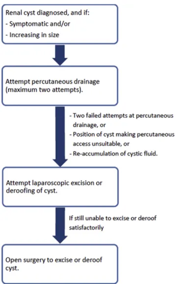 Fig. 13. Algorithm for the management of symptomatic renal cysts at our institution.