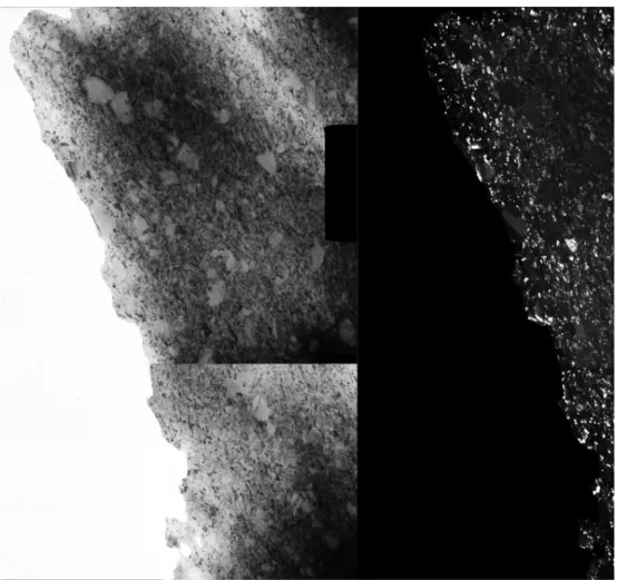 Fig.  6:  Cross-sectional  TEM  image  and  the  corresponding SAED pattern for sample SAA, taken at  the  substrate  side