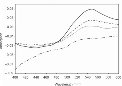 Fig. 3.  Congo  red  differential  spectra.  Clove  in  500×  dilution  (dashed-dotted  line),  in  2000×  dilution  (dotted line), and in ×4000 dilution (dashed line) and without inhibition (solid line)