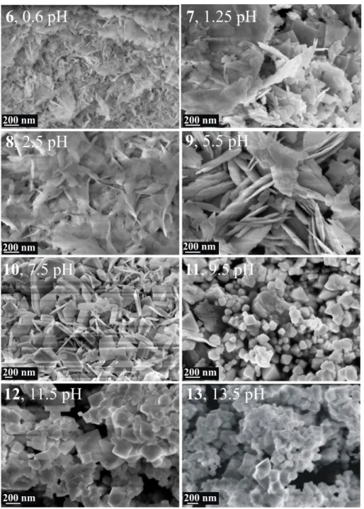 Figure 4. SEM images of Bi 2 WO 6  samples synthetized at 200 °C, 24 h using different pH values