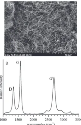 Figure 1. SEM micrograph (A) and Raman spectrum (B) of pristine MWCNTs.