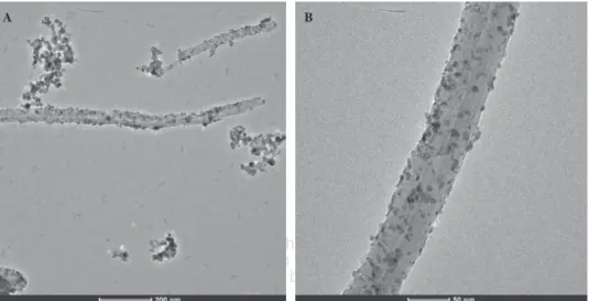 Figure 8. TEM images of soda SnO 2 /MWCNT nanocomposite prepared with 4:1 (A) and 2:1 (B) mass ratio.