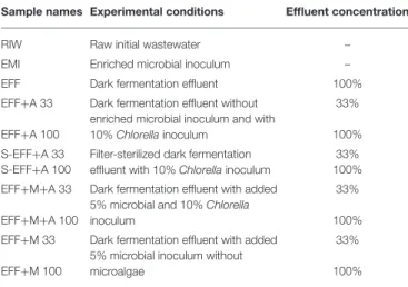 TABLE 1 | Experimental conditions and sample specifications in the photoheterotrophic degradation phase.