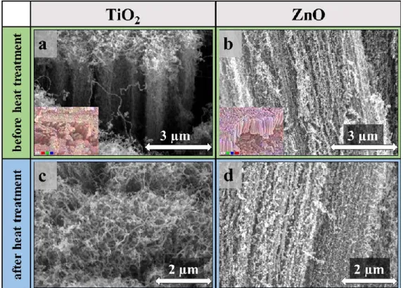 Figure 3. SEM images of TiO 2  (a,c) and ZnO (b,d) coated CNT forests before (a,b) and after (c,d) heat  treatment, element mapping of CNT forest composites (inset (a)–red: Ti, green: C, blue: O; inset (b)–