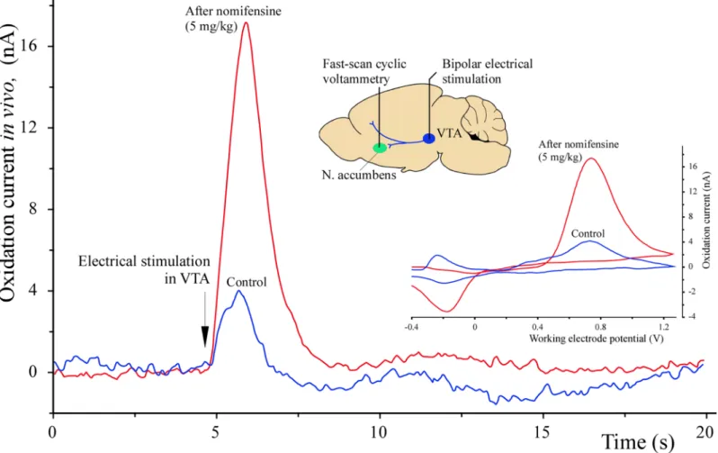 Fig 9. Stimulation-evoked oxidation currents in the nucleus accumbens. A representative experiment exemplifying the performance of a micro-optrode with 100 μm carbon tip in fast-scan cyclic voltammetric (FSCV) determination of peak oxidation currents in th