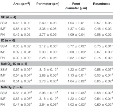 TABLE 2 | Morphological changes in the different mitochondria subsets following ischaemia and reperfusion, and sodium nitrite administration.