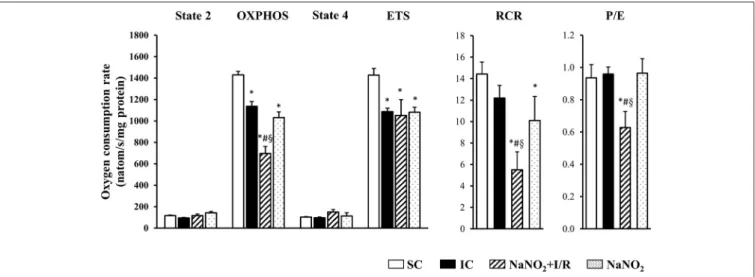 FIGURE 3 | The effect of sodium nitrite administration on CI-dependent basal (State 2) respiration, on OXPHOS capacity and capacity of OXPHOS inhibition (State 4), as well as on the respiratory control ratio (RCR), the uncoupling of ETS and the P/E couplin