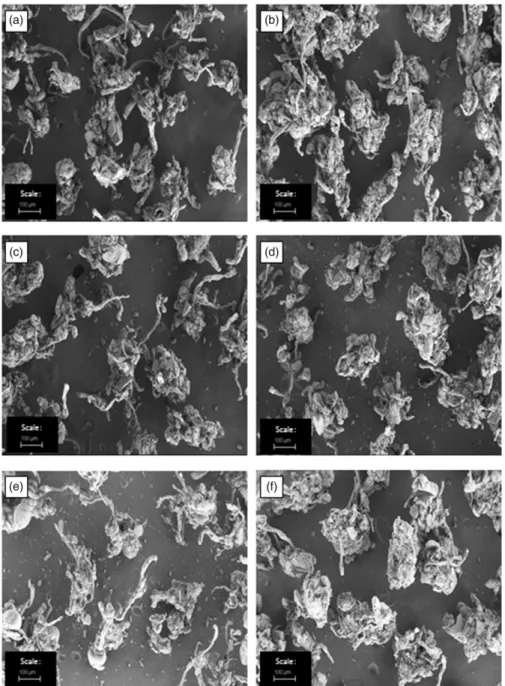 Figure 6. Scanning electron micrographs (particle size fraction of 180 – 250 m m), for granule samples 6 (a), 7 (b), 11 (c), 12 (d), 13 (e), and 15 (f)