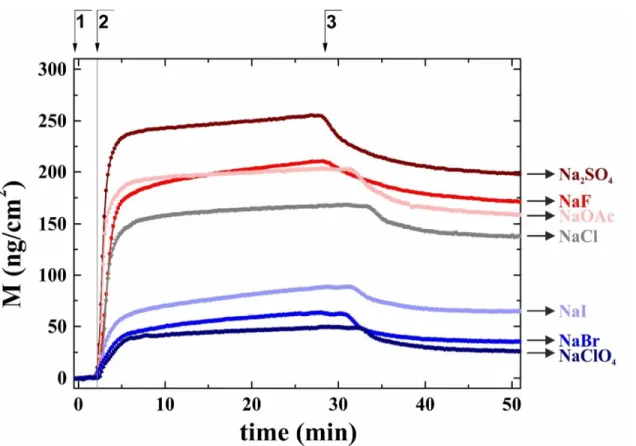 Figure 1 Representative curves of the adsorbed protein surface mass densities in the presence  of  Hofmeister  salts