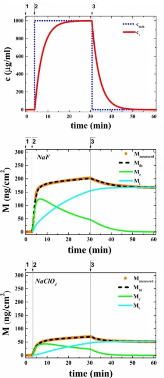 Figure  4  Adsorption-desorption  kinetics  of  flagellin  in  extreme  kosmotropic  (NaF)  and  chaotropic  (NaClO 4 )  solutions  evaluated  using  the  parallel  model