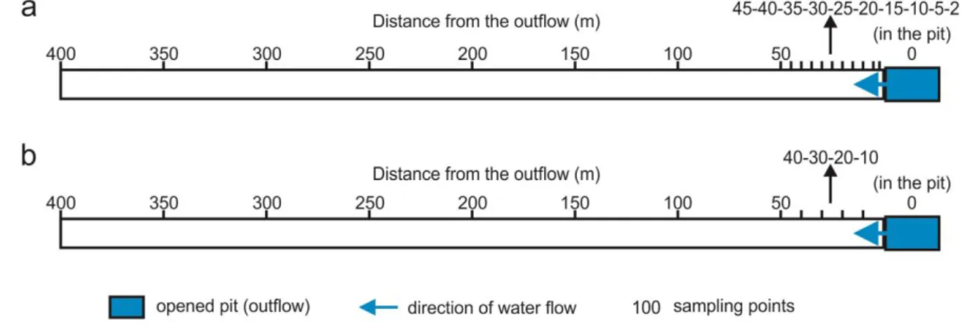 Fig. 4 Sampling points of the in situ experiment along the flow path on (a) 23 rd  March and (b)  224 