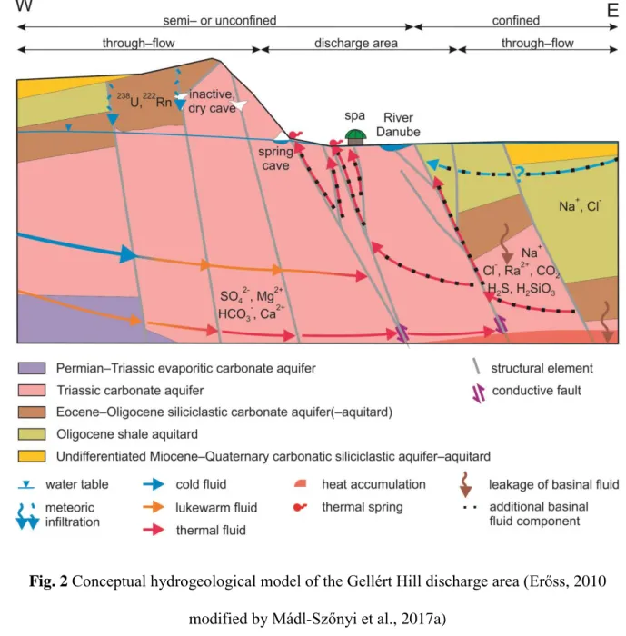 Fig. 2 Conceptual hydrogeological model of the Gellért Hill discharge area (Erőss, 2010  162 