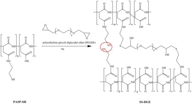 Fig. 2 Cross-linking of PASP-SH with poly(ethylene glycol) diglycidyl ether (x = 7-8)
