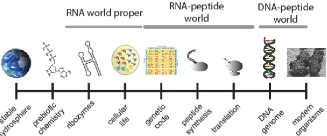 Figure 1. A conceptual figure of the stages of the origin of life, with a focus on the  RNA world and its transition to the DNA-protein world