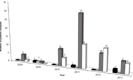 Fig. 1. GMO positive samples in years 2008–2013 : Soya bean;  : Soya products;  : Maize fl  our;   Rice