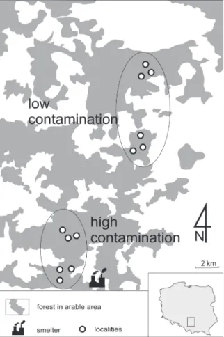 Figure 1. The map of the study area with distinction of high  and low contaminated sites in the vicinity of Olkusz, southern  Poland.
