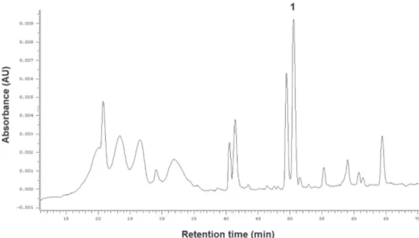 Fig. 2. HPLC chromatogram recorded at 370 nm corresponding to the flavonoid profile of Ribes nigrum  fruits