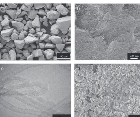 Fig. 1 – Morphology of the starting materials and powders. (a) SEM image of YSZ as received (SE, MAG 500 × HV 5 kV), (b) SEM image of MWCNT as received (SE, MAG 10000 × HV 5 kV), (c) TEM image of MWCNT as received (at 200 kV) and (d) SEM image milled YSZ a