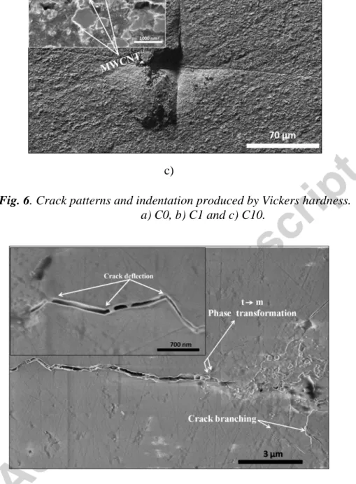 Fig. 7. SEM image showing crack deflection, crack branching and the possibility of phase  transformation occurrence (tetragonal to monoclinic) in C1 composite