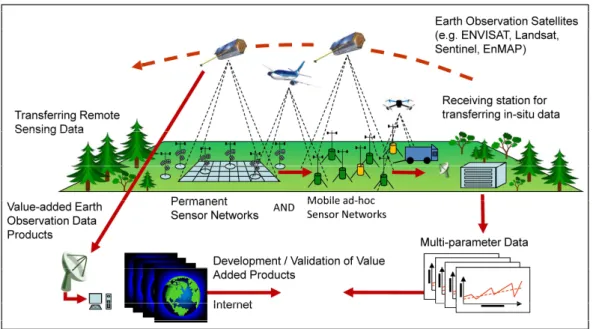 Figure 3. Linking different approaches (high frequency wireless sensor networks up to spaceborne  satellites) with relative frequency monitoring, sensors, and different platforms of remote sensing to  better describe, explain, predict, and understand fores