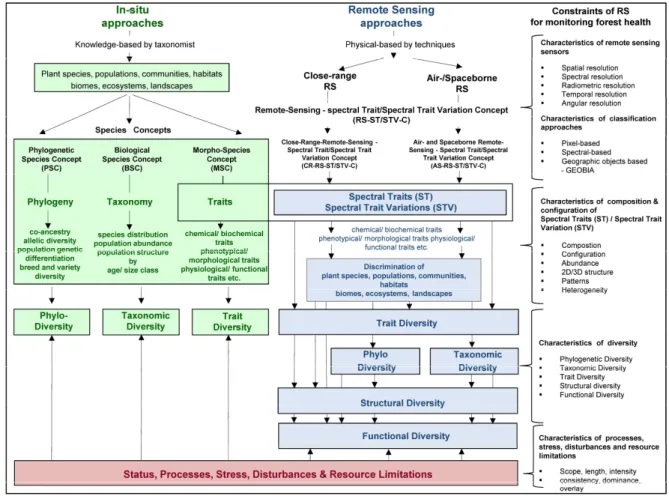 Figure  4.  Overview  of  in situ  approaches—the  phylogenetic  species  concept  (PSC),  the  biological  species concept (BSC), the morphological species concept (MSC), and the remote sensing—spectral  trait/spectral  trait  variation  concept  (RS-ST/S