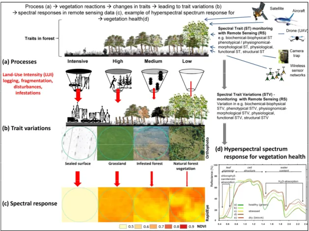 Figure  5.  Schematic  diagram  showing  a  chain  of  effects  on  forest  health  with  (a)  the  impacts  of  different drivers and processes such as land-use intensity, logging, fragmentation, or infestations in  forest ecosystems