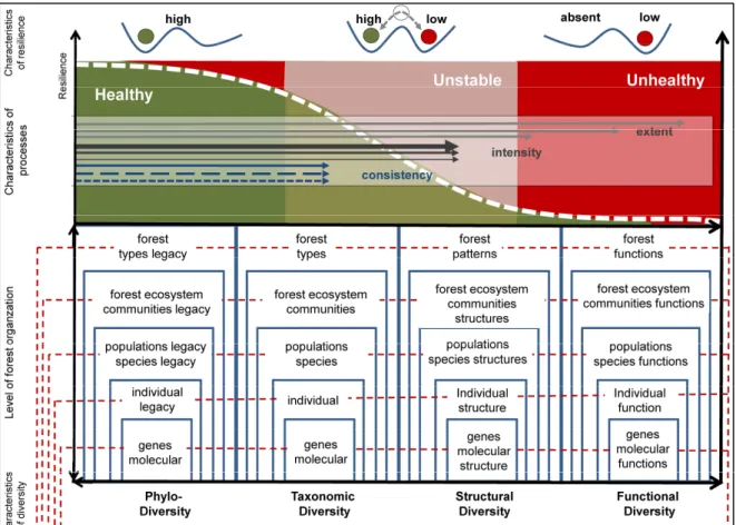 Figure 1. Schematic diagram of the different levels of forest organization from genes up to forest types  showing characteristics of phylodiversity, taxonomic diversity, structural diversity, functional and  trait diversity