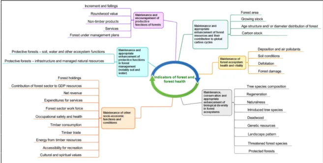 Figure 2. Quantitative indicators used by the seventh FOREST EUROPE Ministerial Conference in  October  2015