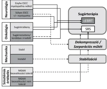 1. ábra A NOMS (Neurológiai–Onkológiai–Mechanikai–Szisztémás ér- ér-tékelés) döntést segítő keretrendszer (Laufer és mtsai után,  2013)