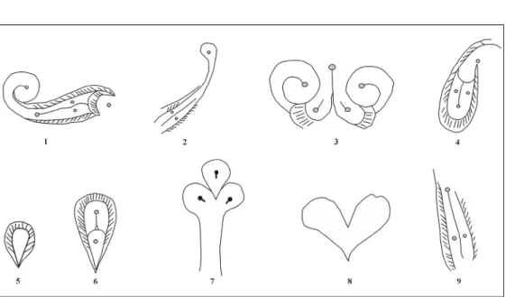 Fig. 3. The decorative composition displayed by the artefact