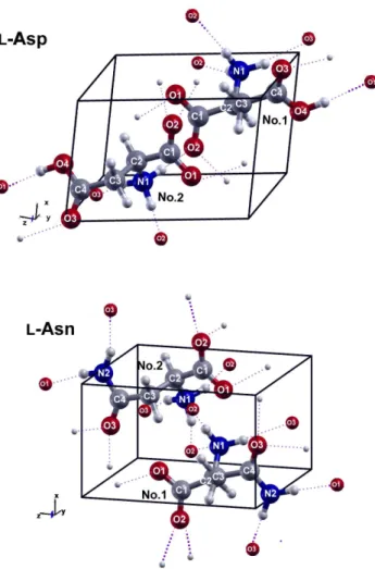 Figure 3: Drawings of unit cells of l-Asp and l-Asn crystals. Hydrogen bonds are indicated in purple