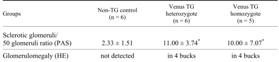 Table 3  Glomerular histology 