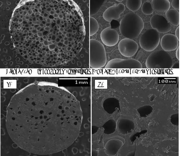 Figure 3. SEM image of foam, formulation 8052_4200, a) 20x and b) 100x magnification  Cell population density 