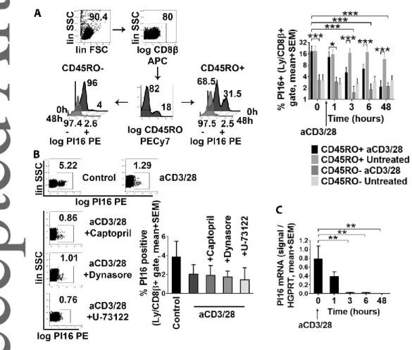 Fig.  7.  Analysis  of  the  termination  of  PI16  expression  in  skin-homing  CD8+/CD45RO+  T  cells