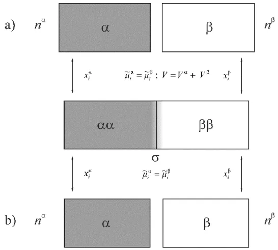 Figure 3   In the  middle: the  real system (an idealized surface or surface phase is  separating two  homogeneous bulk phases αα and ββ), and the reference systems α and β