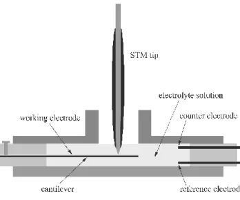 Figure 4   Schematic illustration of a typical arrangement for STM studies at the solid/liquid inter- inter-face which allows simultaneously to measure the bending of the cantilever when the electrode  po-tential is varied